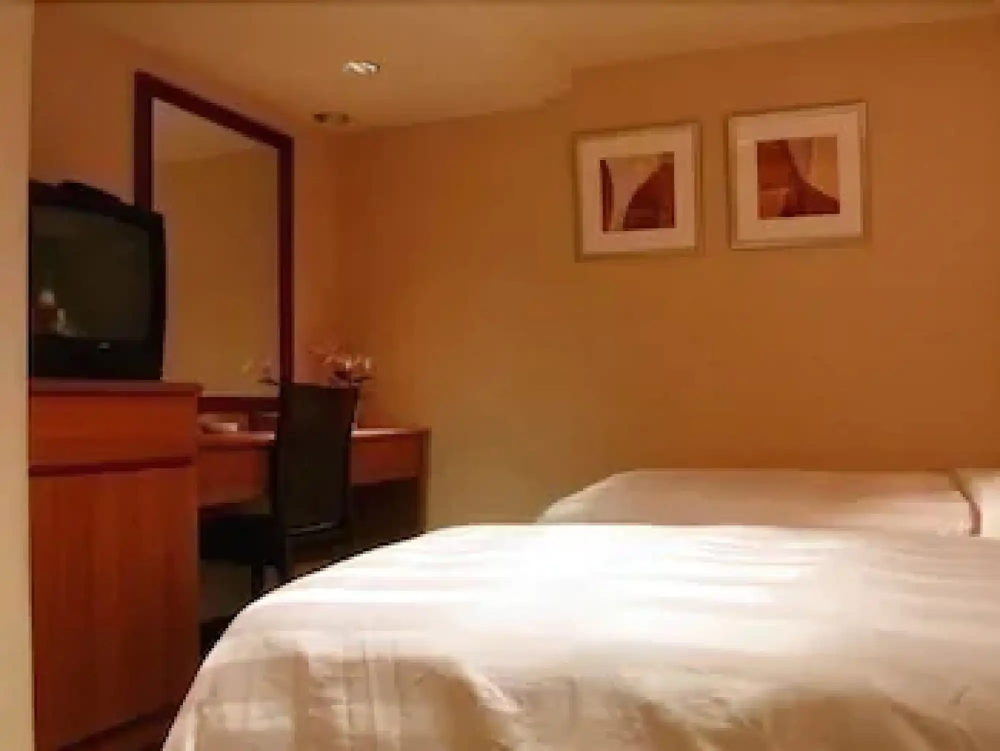 Foto - Dahshin Hotel