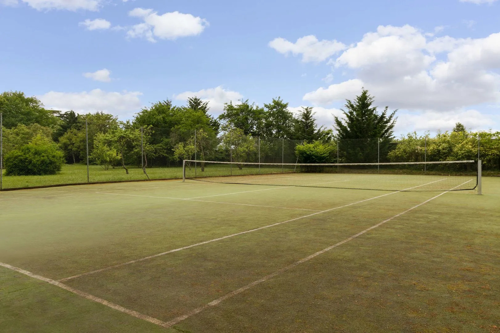 Foto - Domaine de la Tortinière