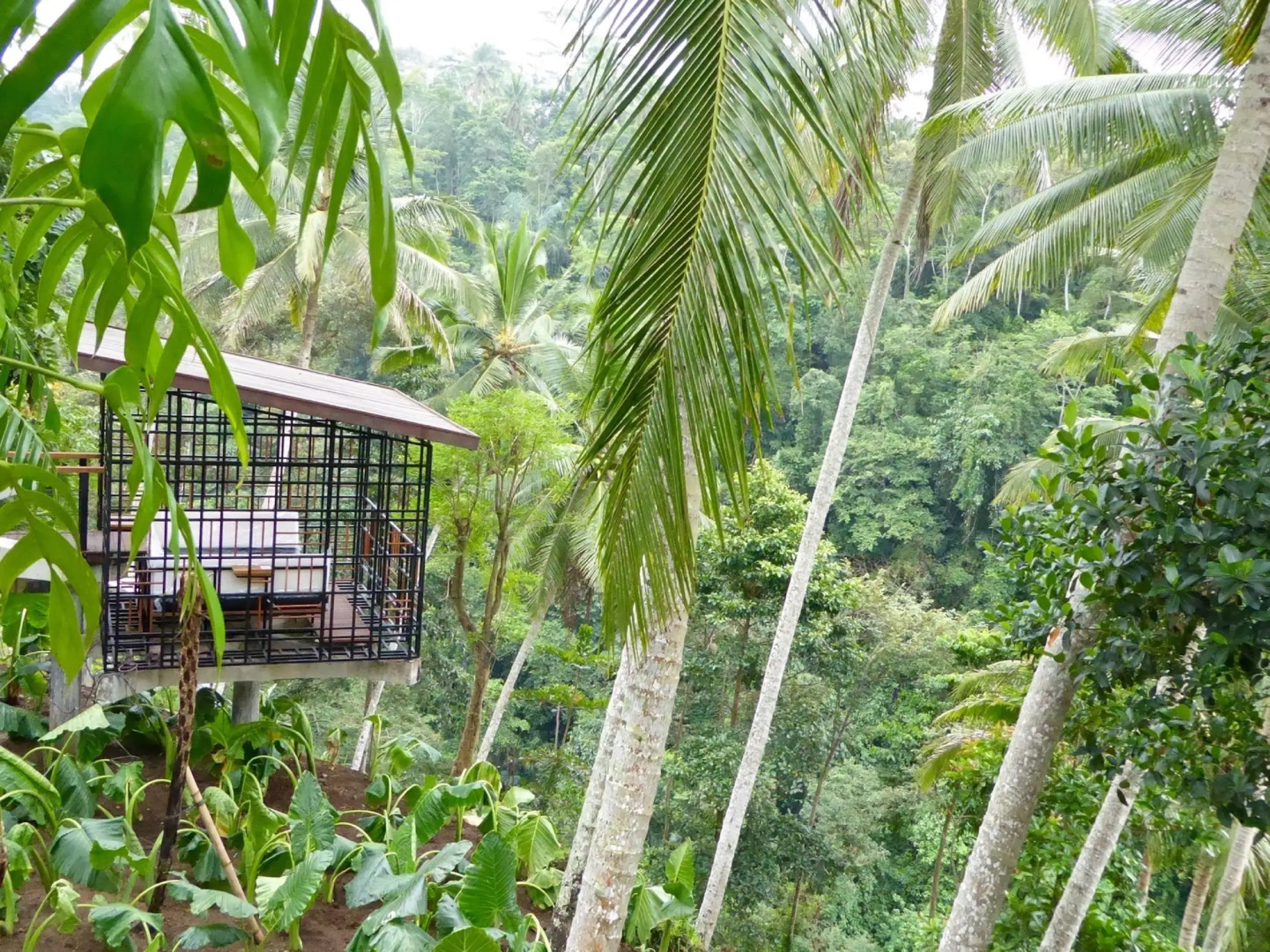 Photo - HOSHINOYA Bali