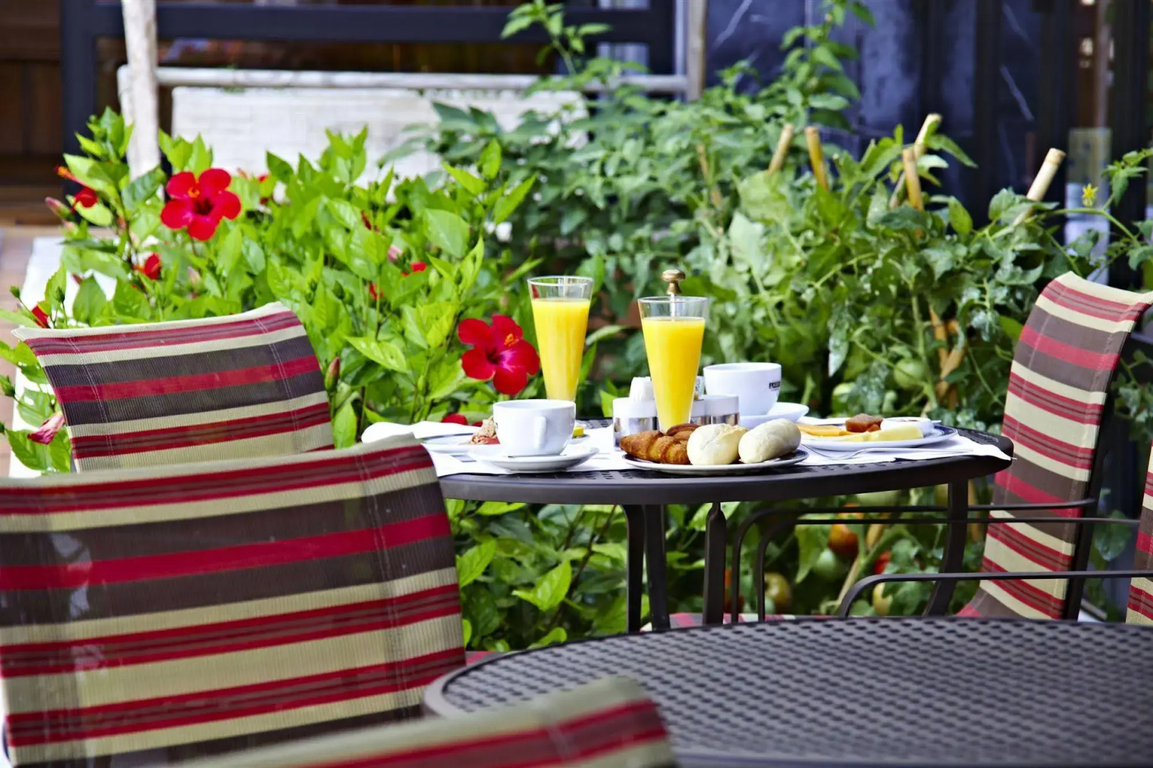 Photo - Hotel Serrano Palace