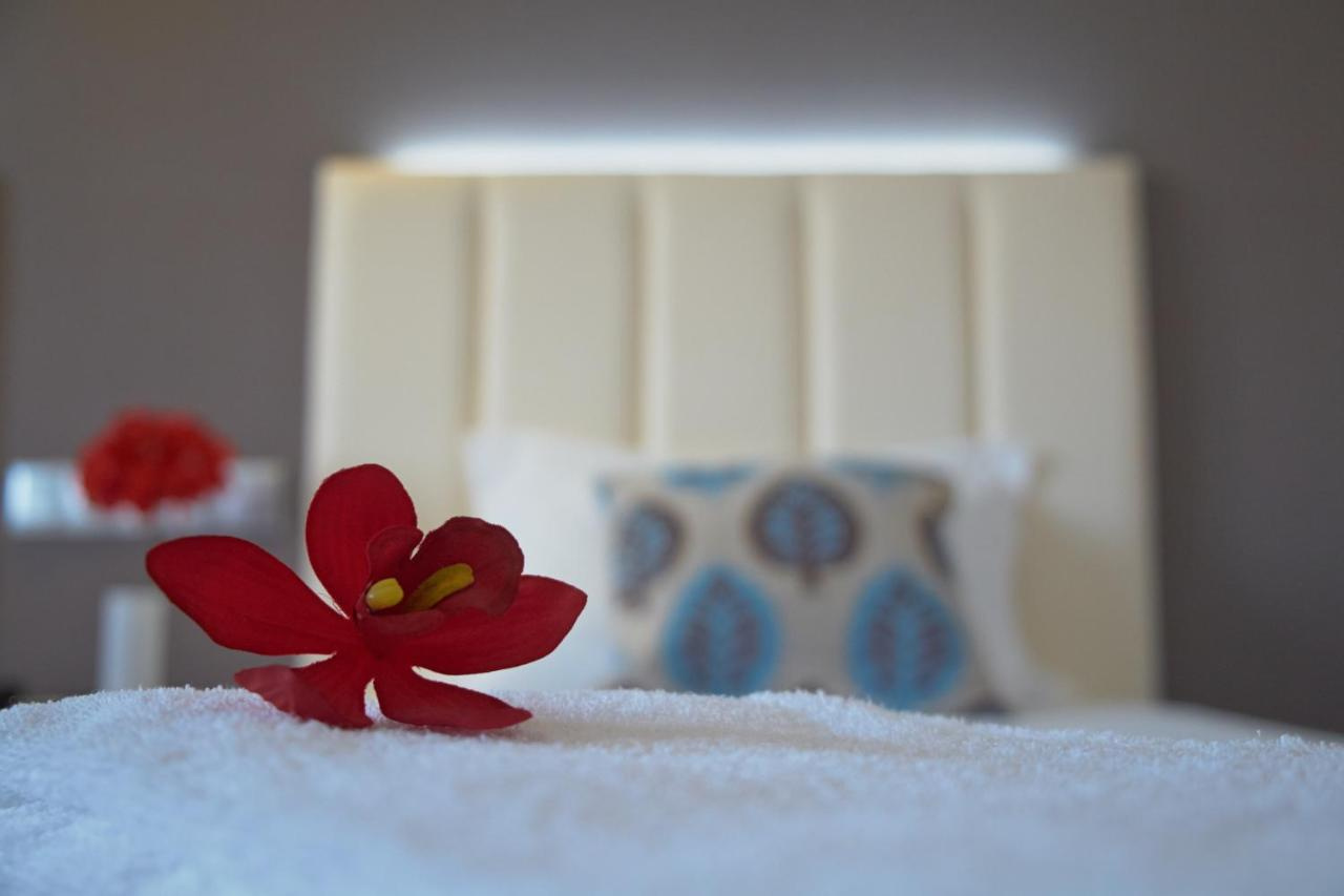 Photo - Hotel Azinheira by RIDAN Hotels
