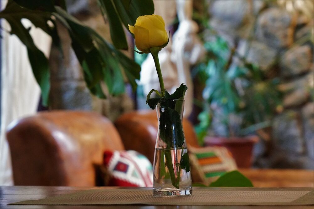 Foto - Tryst Boutique Hotel