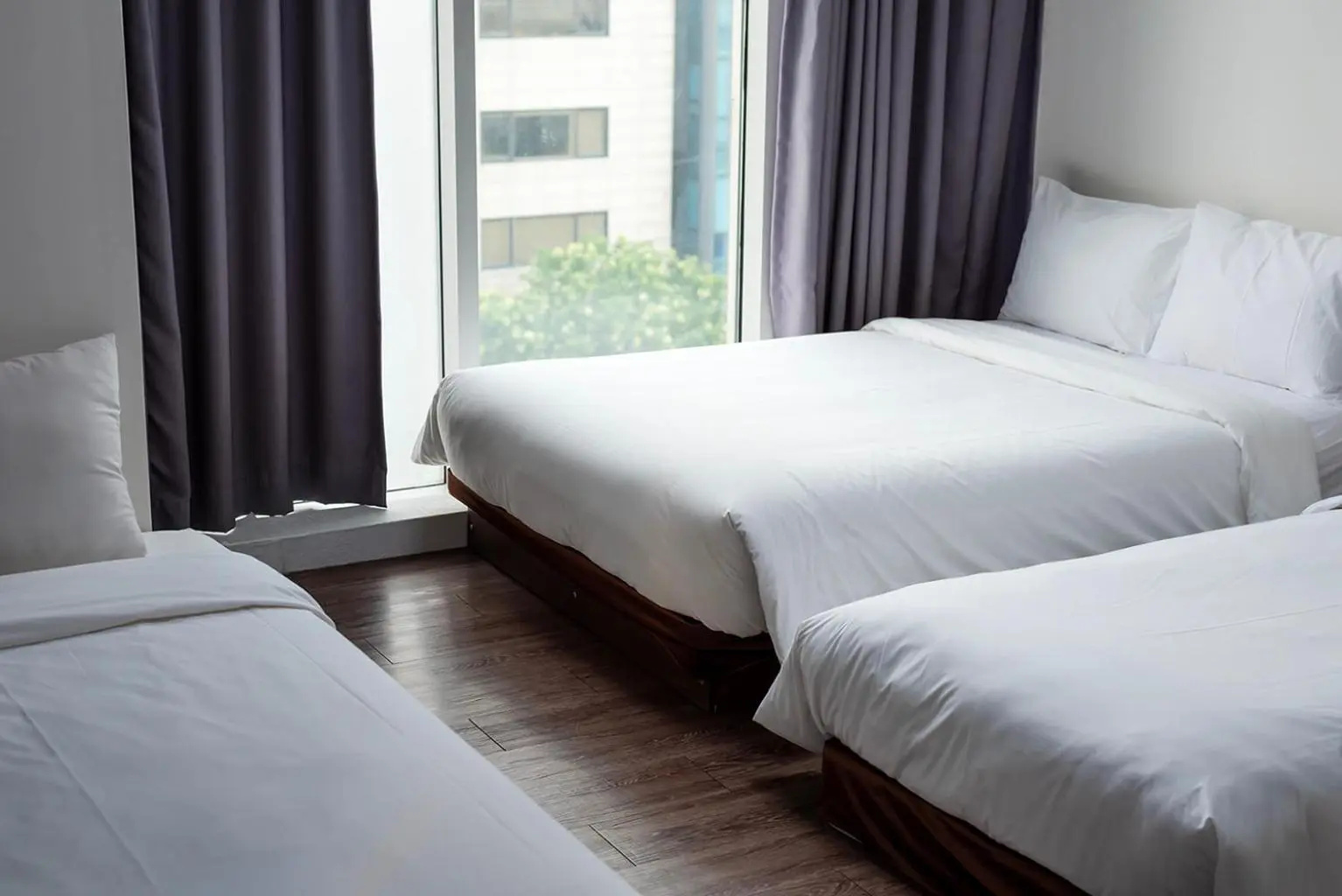 Photo - Brown Suites Hotel Sinchon Central