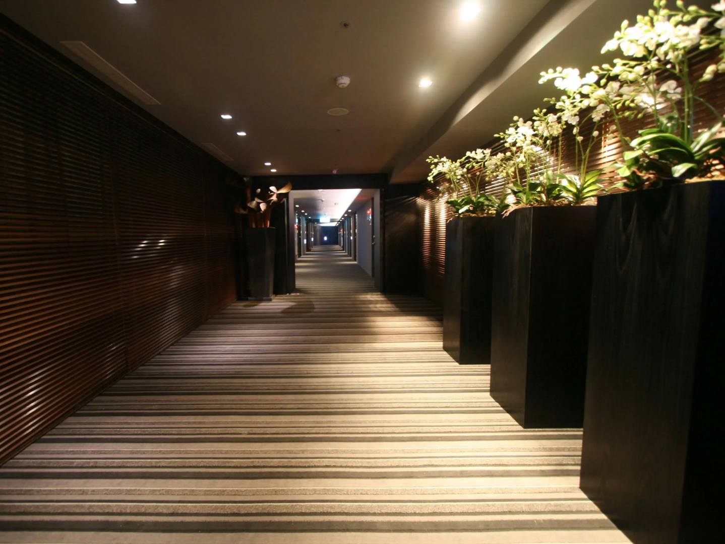 Foto - My Hotel
