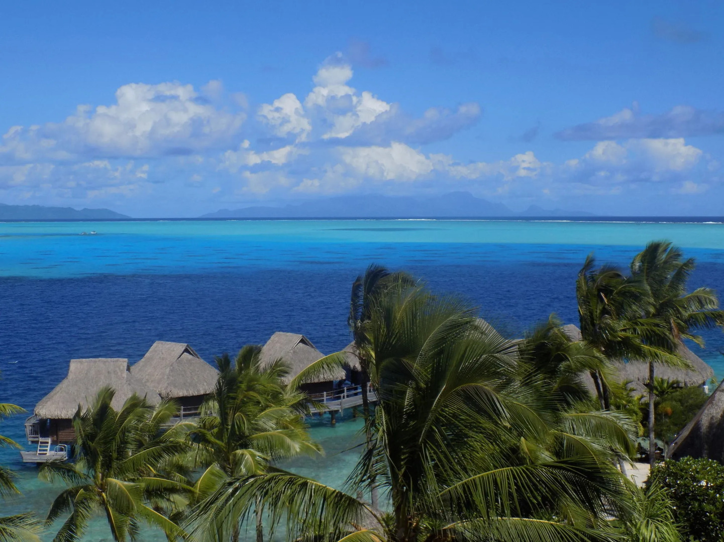 Photo - Maitai Bora Bora