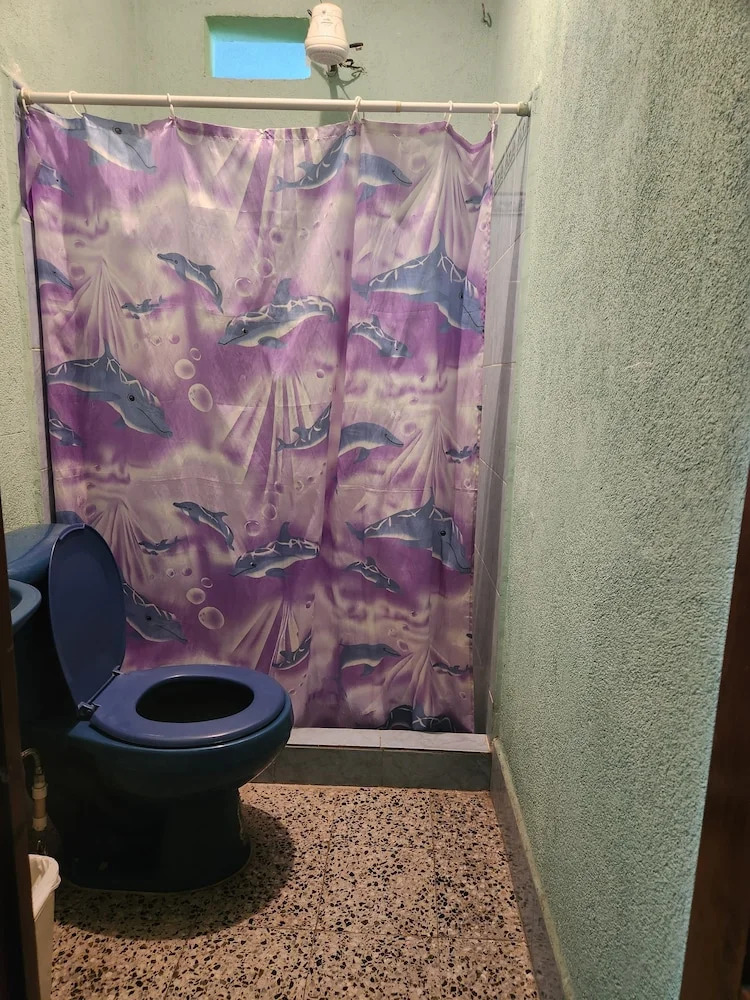 Foto - Hostal Sweet Dreams