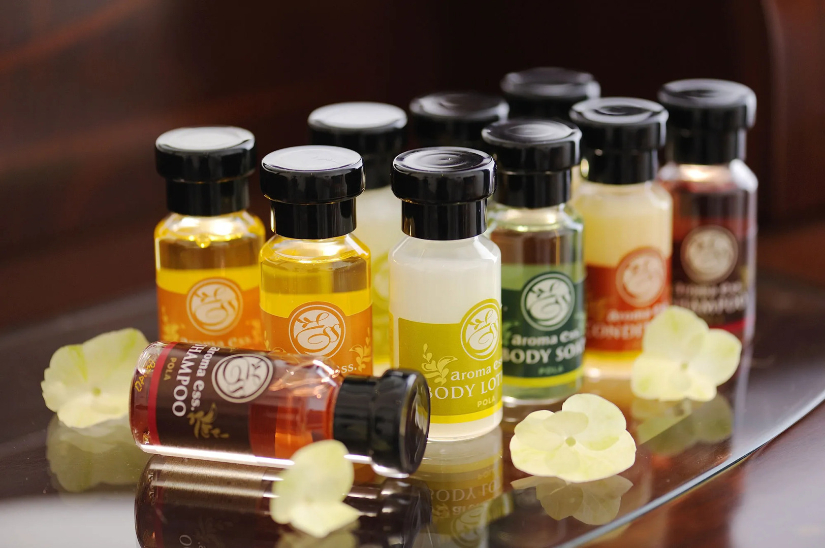 Foto - Hotel Emisia Sapporo