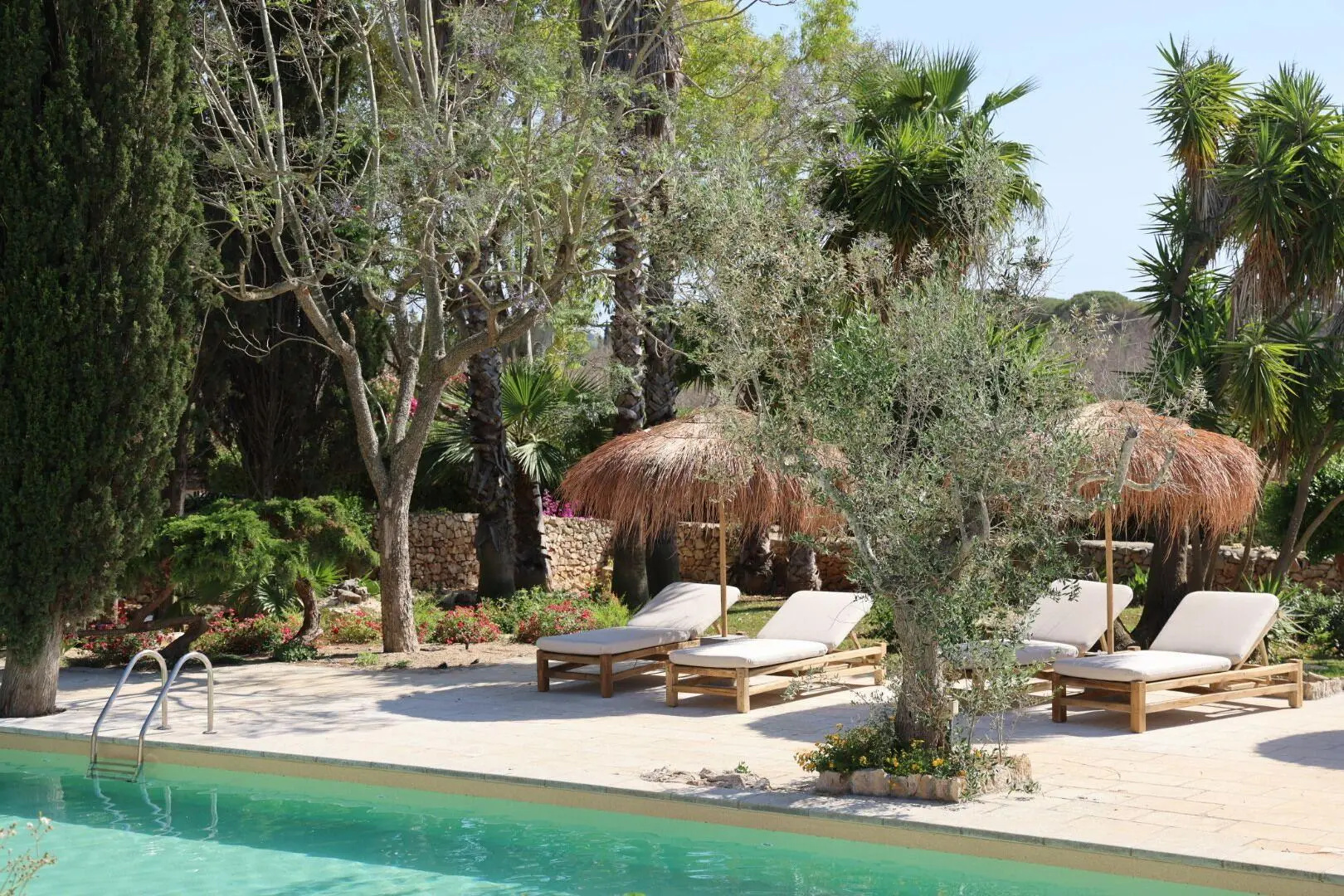 Tenuta Negroamaro, Bild 10 von 17