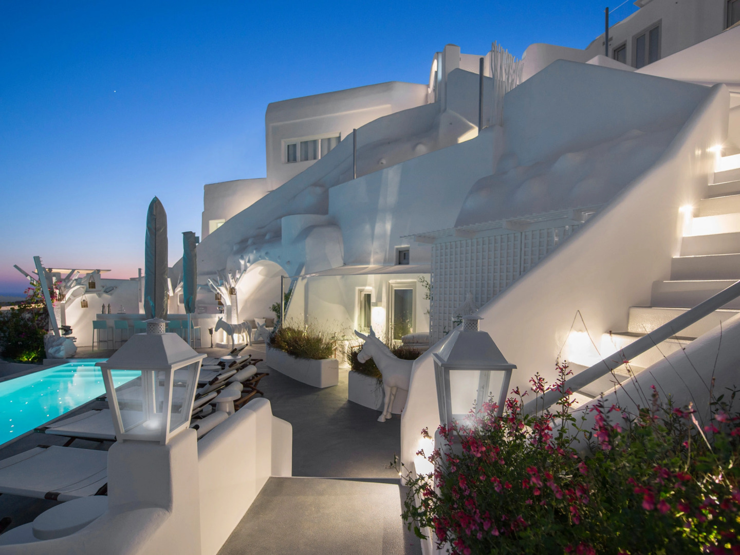 Foto - Canaves Sunday