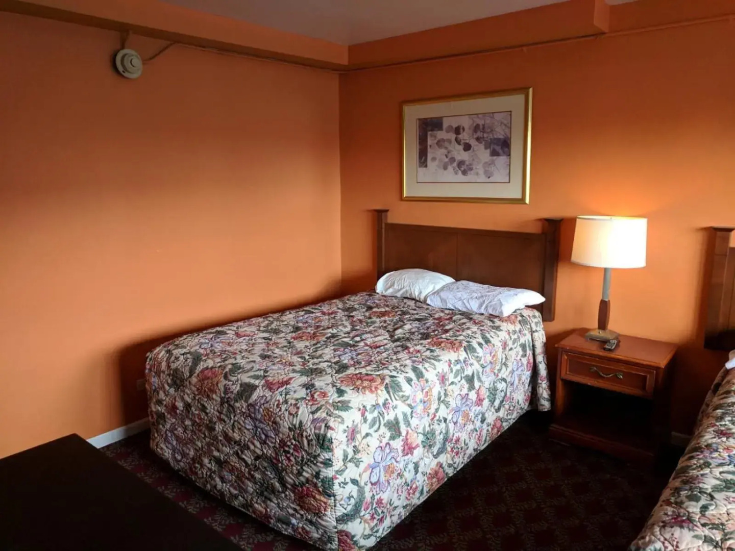 Foto - Skylark Motel