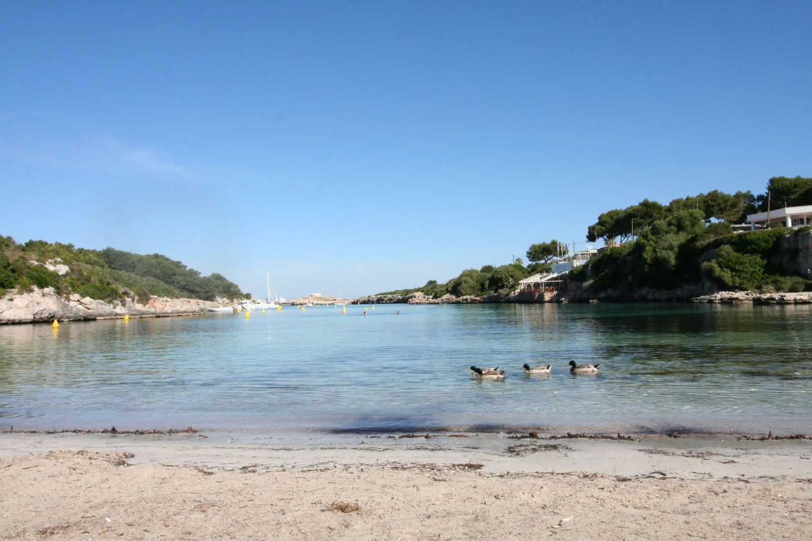 Photo - Hotel Playa Santandria Adults Only