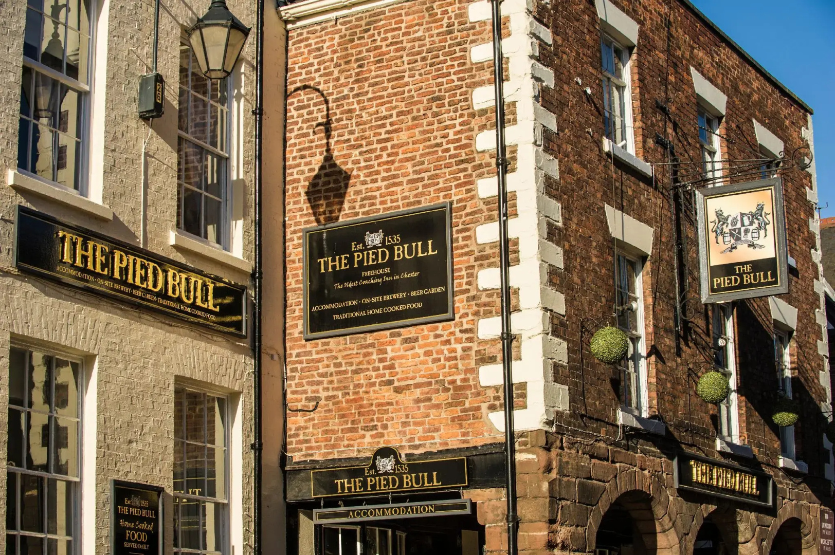 Foto - The Pied Bull