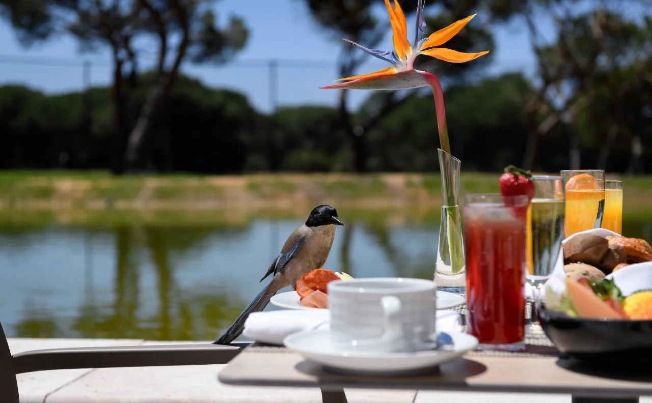 Foto - Pestana Vila Sol - Vilamoura Premium Golf Resort