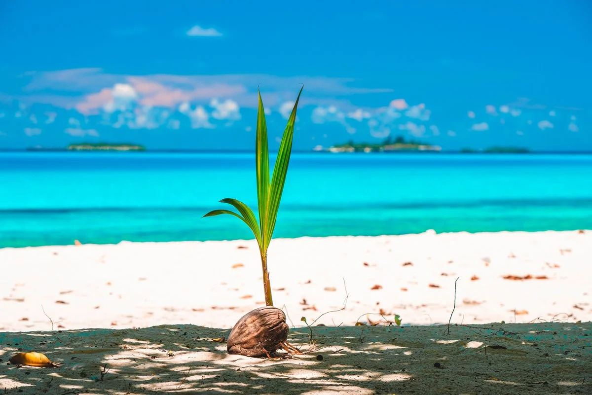 Photo - Dhiguveli Maldives