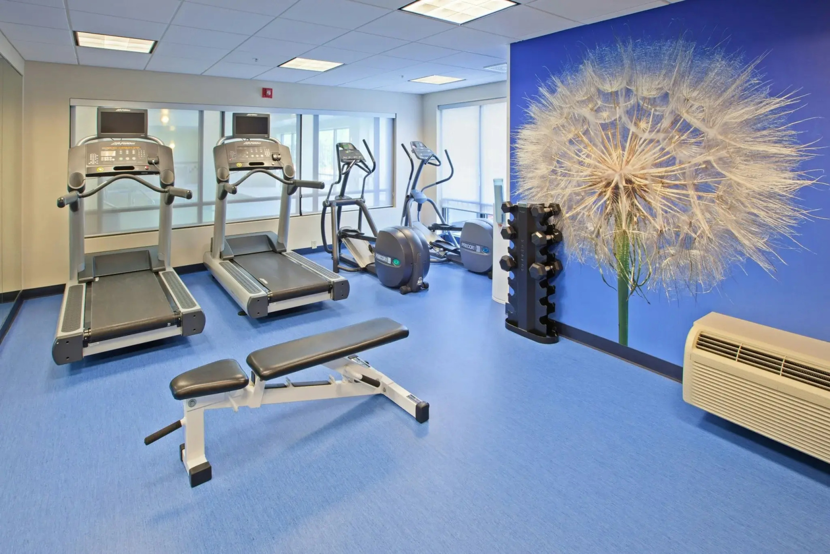 Foto - SpringHill Suites by Marriott Chicago Schaumburg/Woodfield