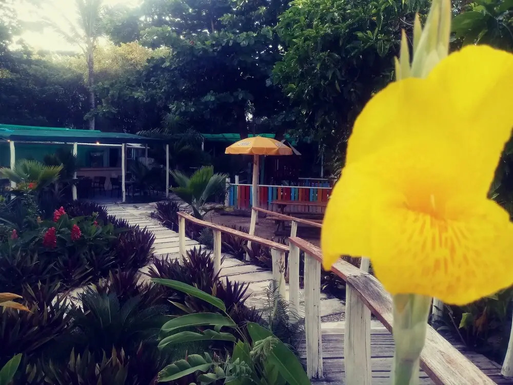 Photo - Riviera Punta Cana Eco Travelers