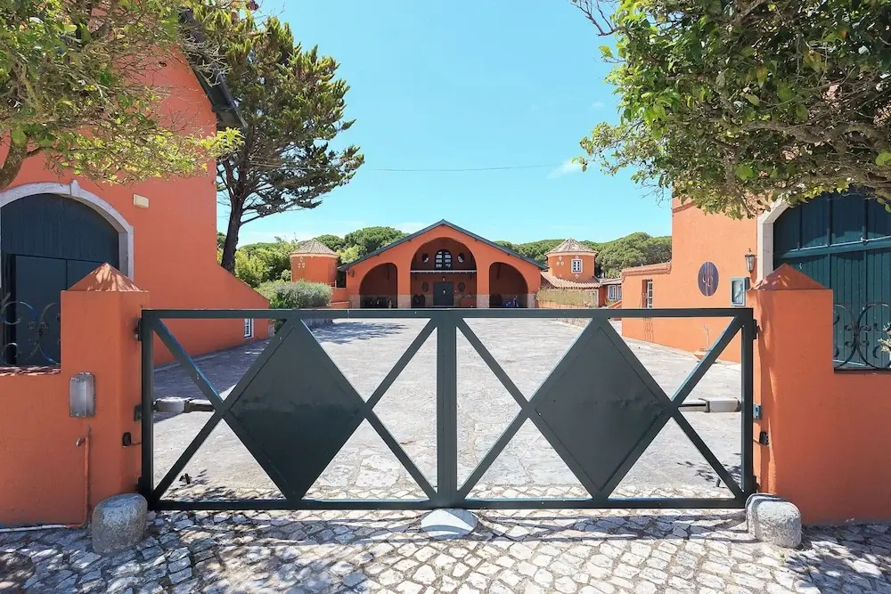 Foto - Quinta da Bicuda