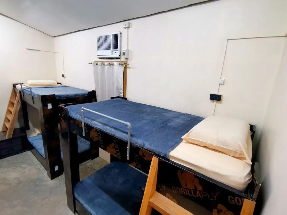 Foto - Big Paul Hostel