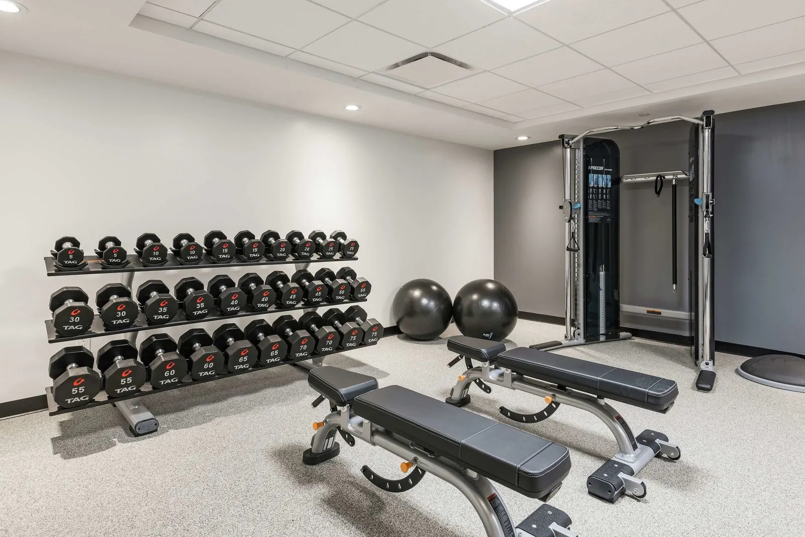 Photo - Hilton Garden Inn Ottawa Downtown