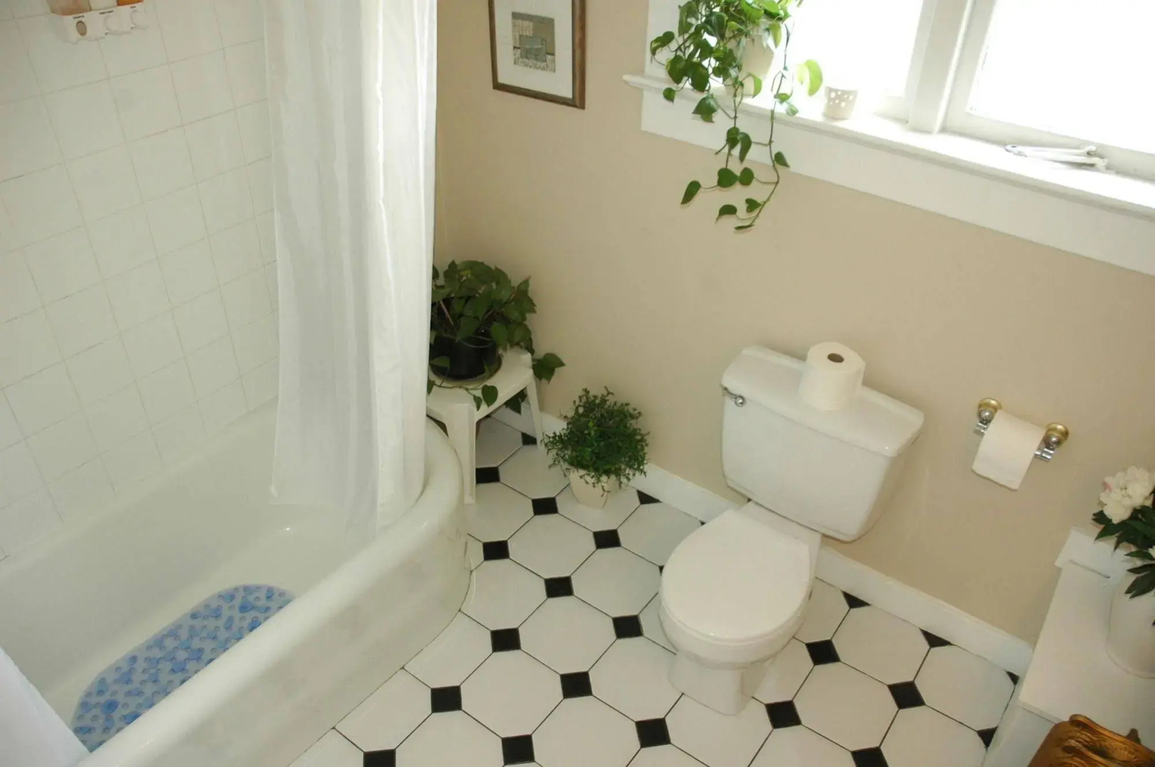 Foto - Windsor Guest House