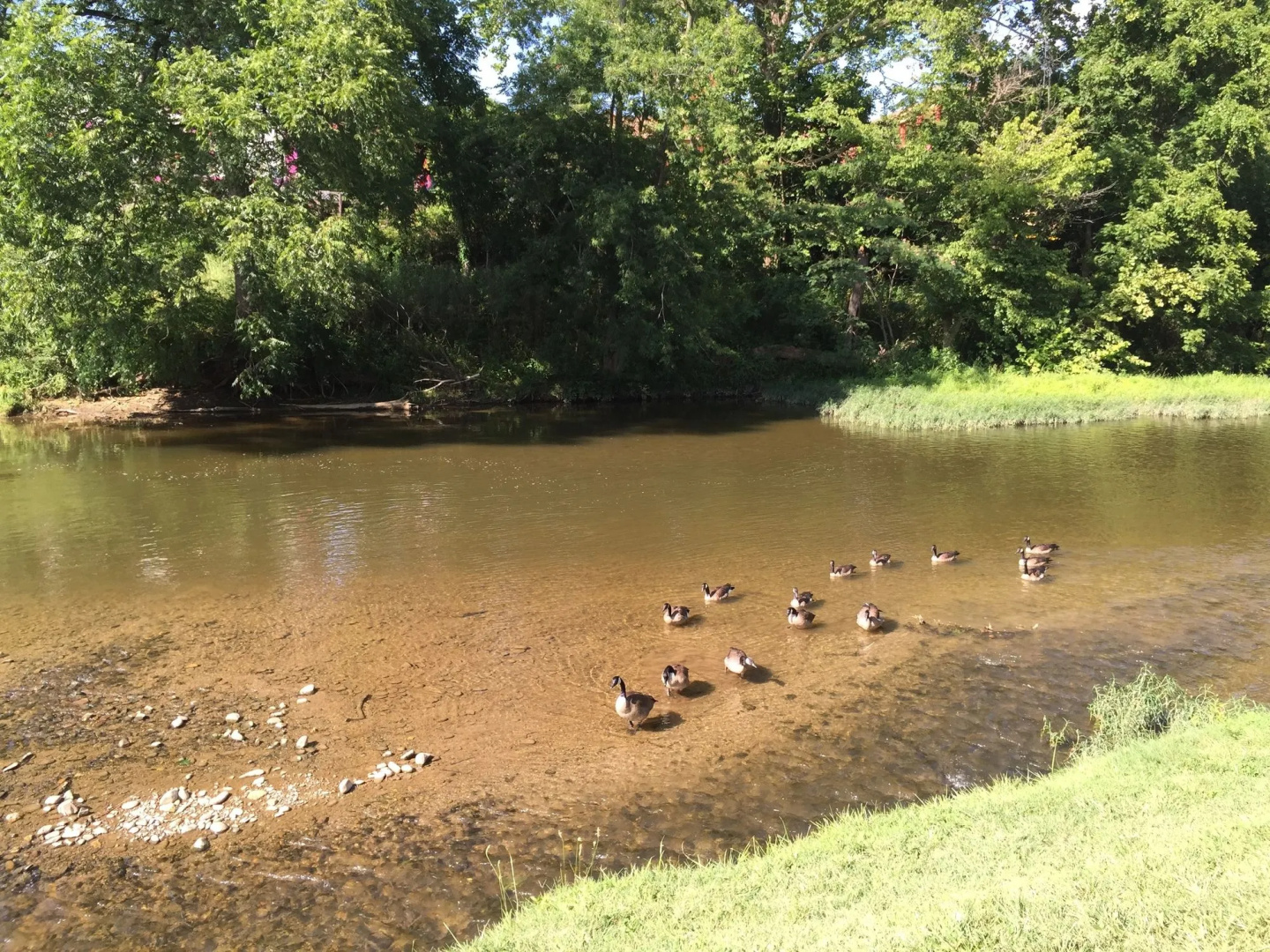 Foto - Pigeon River Inn