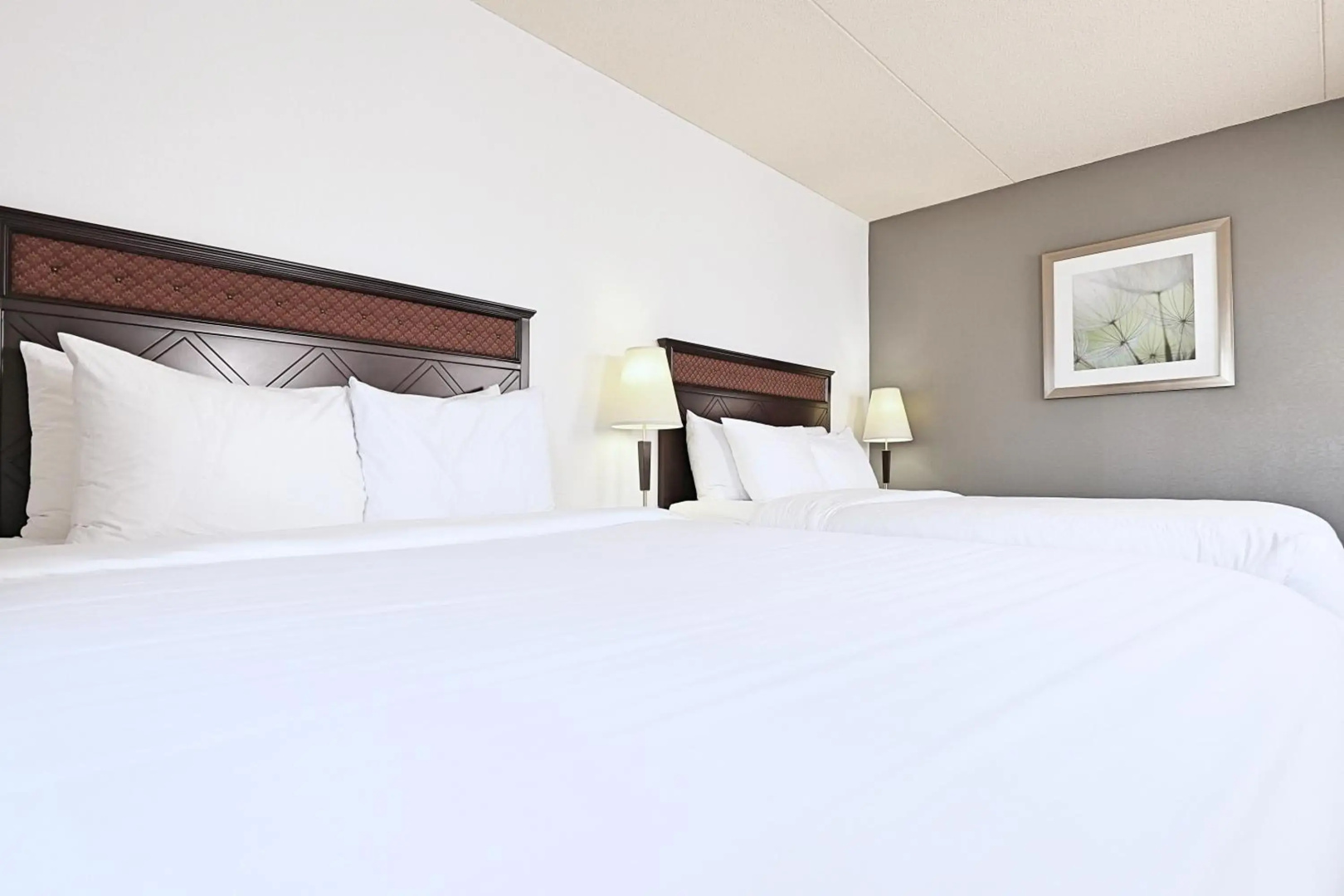 Foto - LELUX Hotel