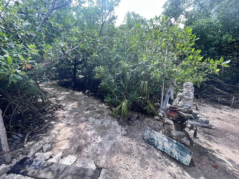 Photo - Yaxchen Tulum Cabañas & Cenote