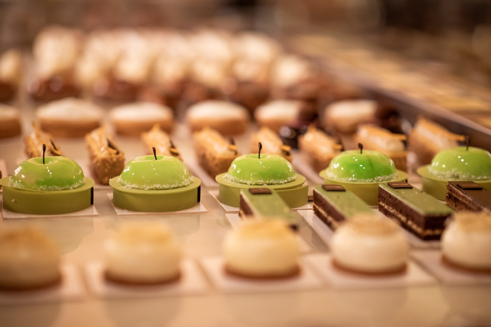 Photo - Brach Paris - Evok Collection