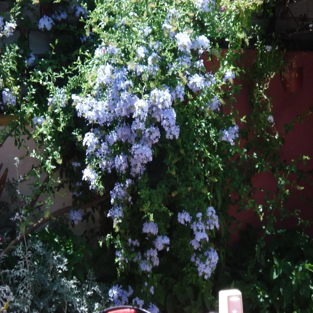 Photo - Sezgin Boutique Hotel