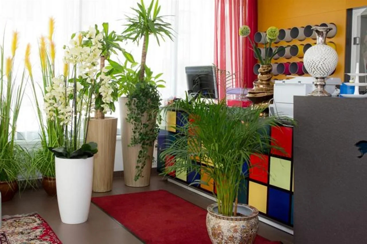 Foto - A&T Hotel & Hostel