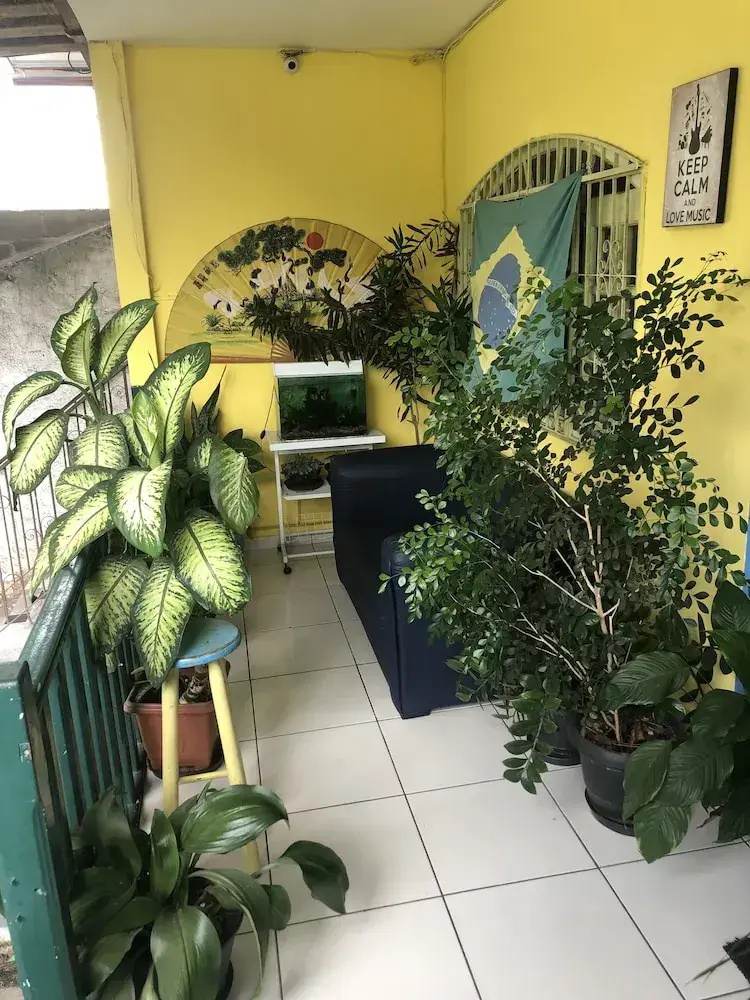 Foto - Onça da Praia Hostel