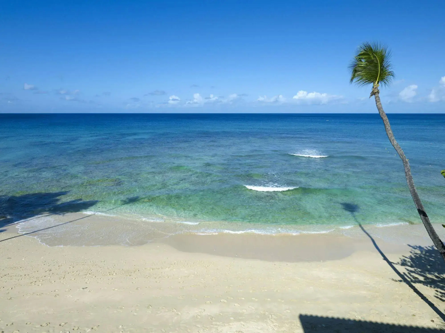 Photo - Tamarind, Barbados, An Autograph Collection® All-Inclusive Resort