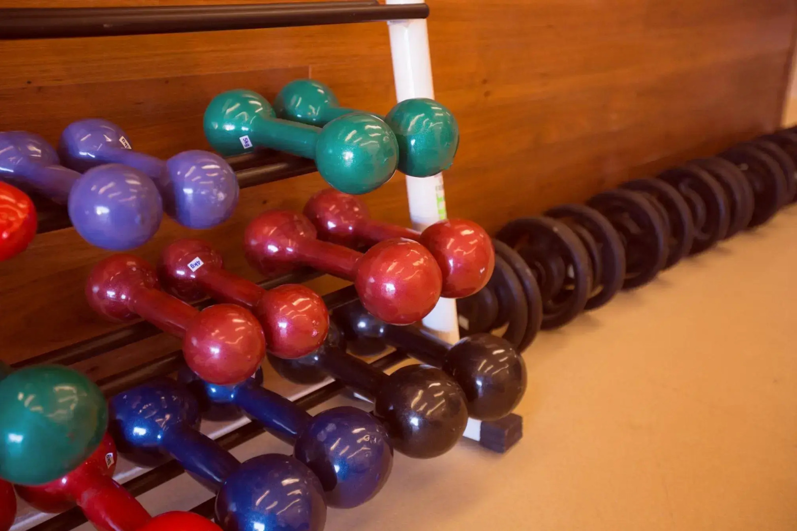 Photo - Fusion Hplus Express +