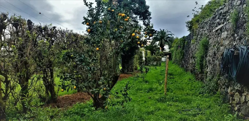 Foto - Quinta do Bom Despacho