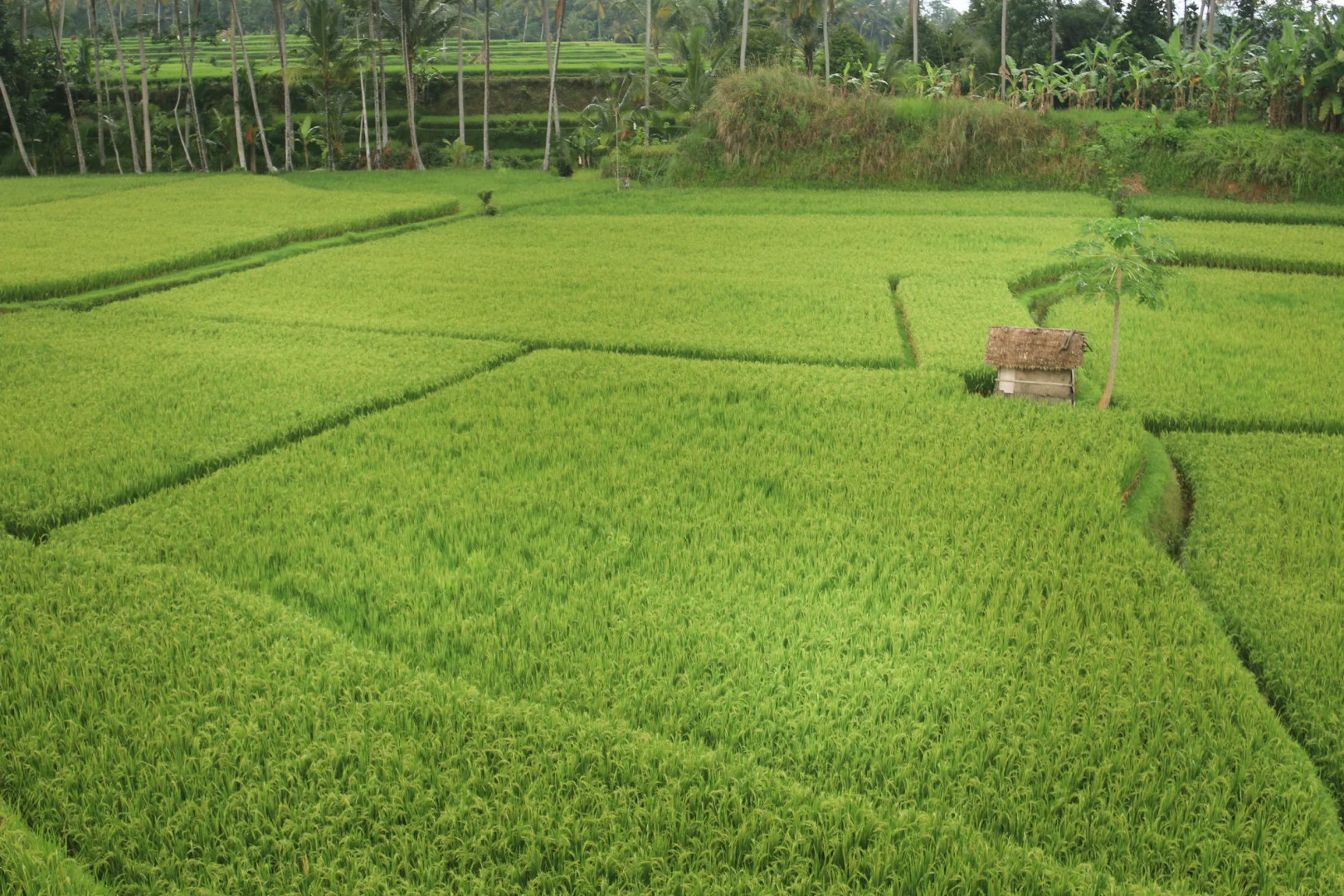 Photo - Om Ham Retreat and Resort