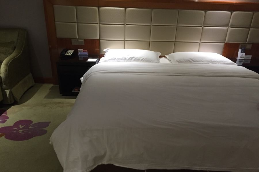 Vienna Hotel (Shenzhen Kejia Town)