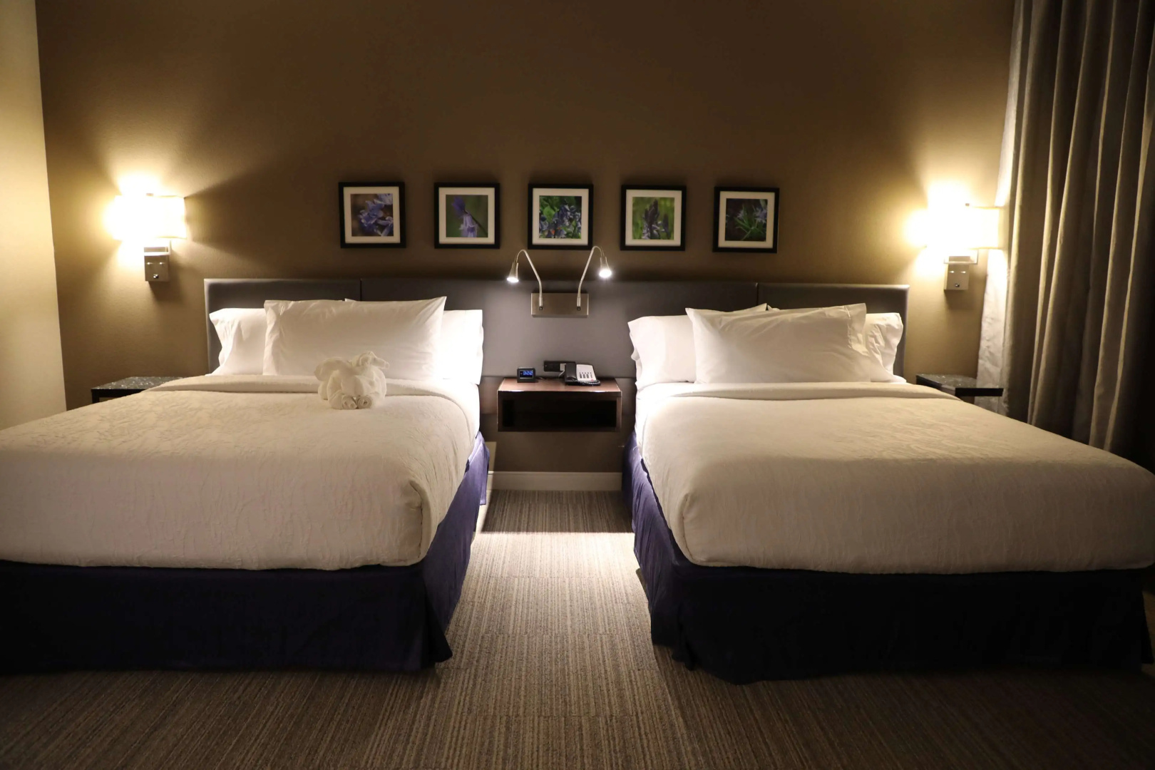 Photo - Hilton Garden Inn Austin Airport