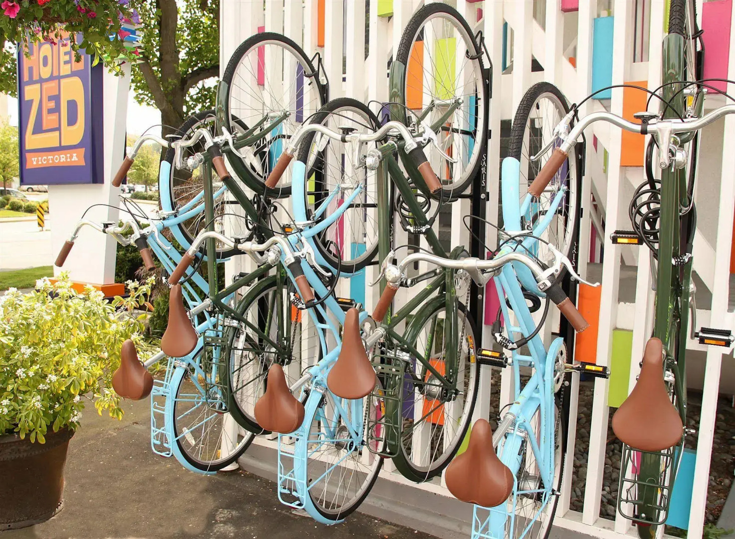 Foto - Hotel Zed Victoria