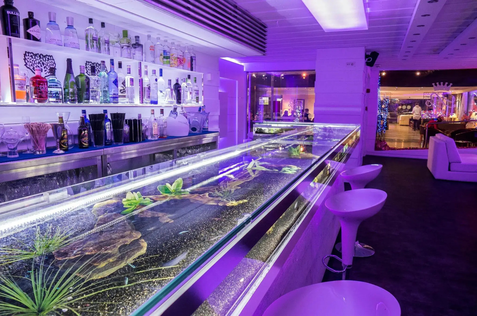 Foto - Princesa Parc Excellence