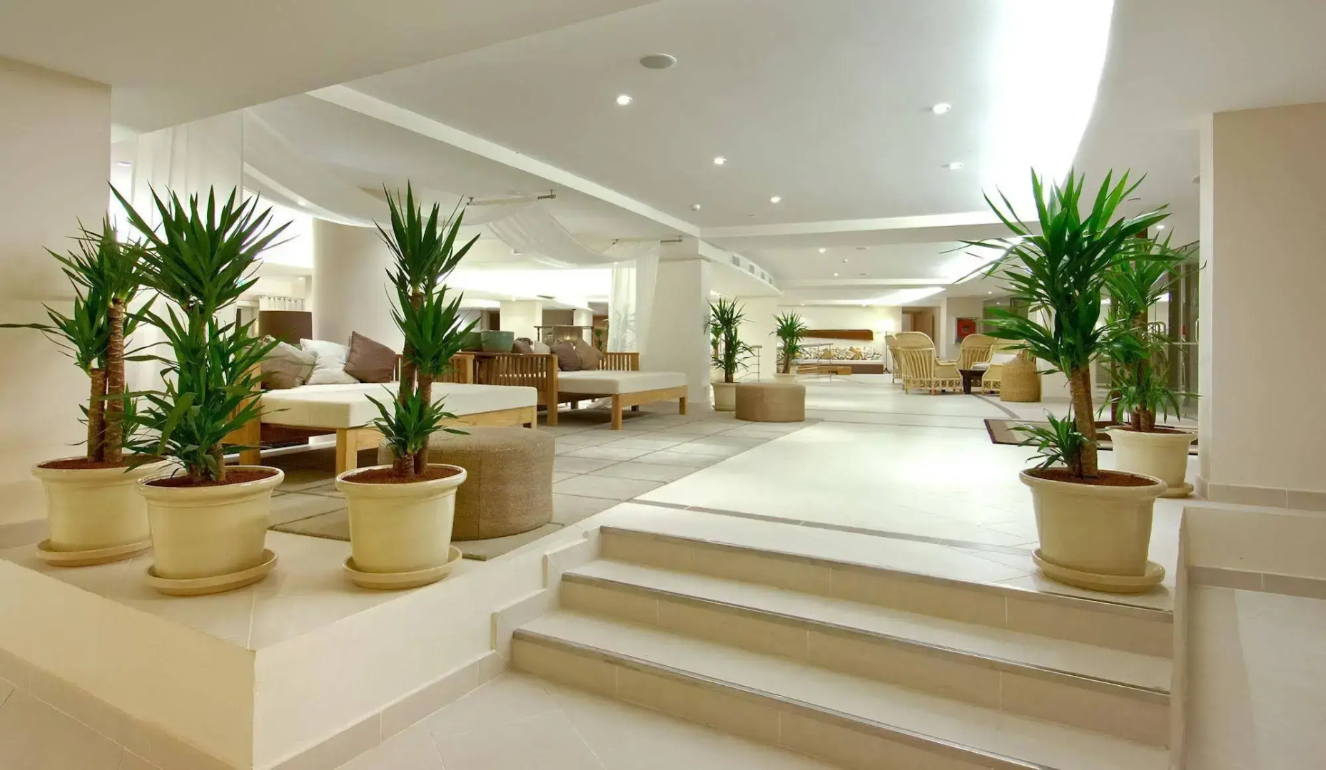 Photo - The Salmar - New Opening