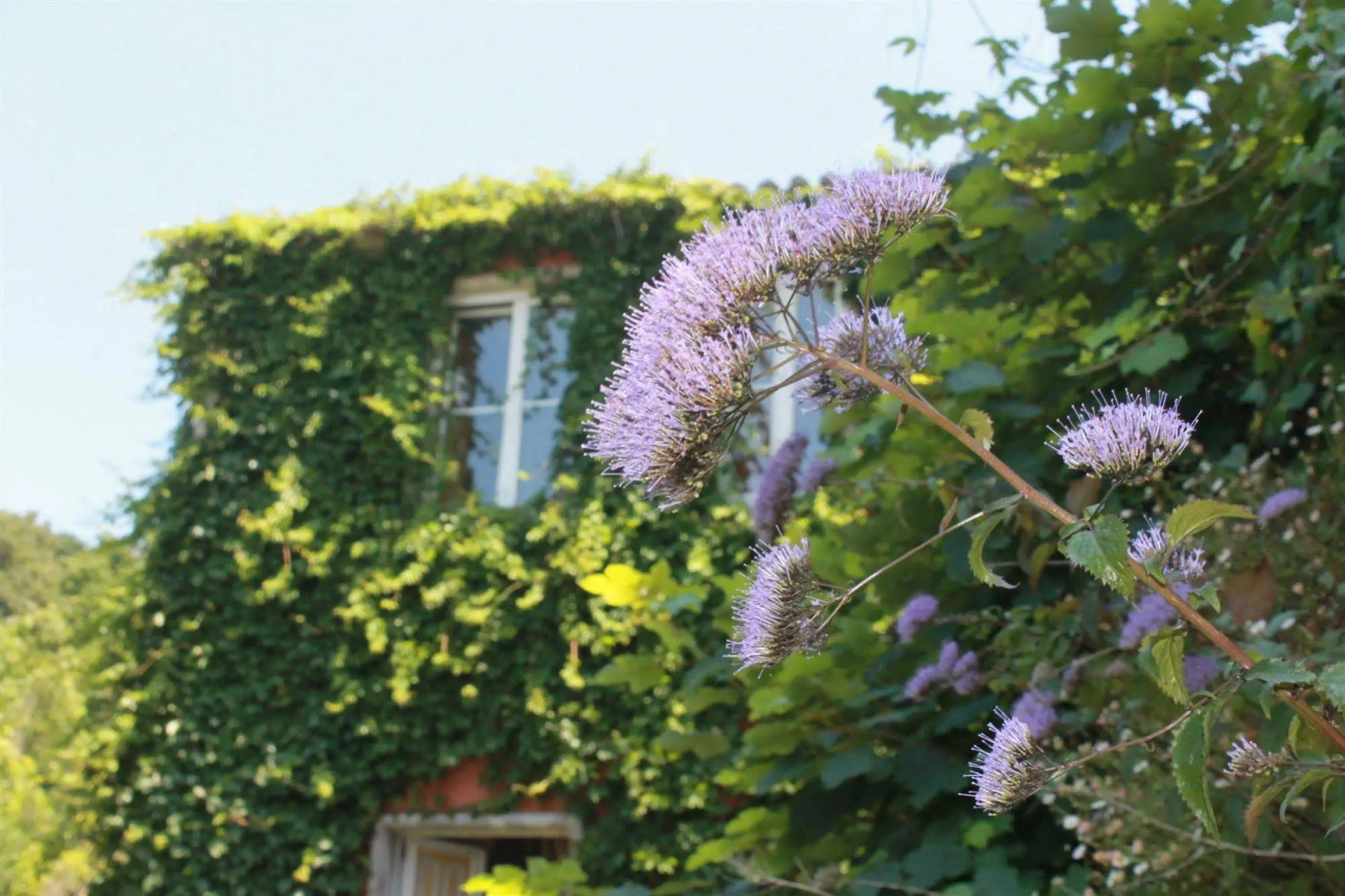 Photo - Quinta Das Murtas B&B