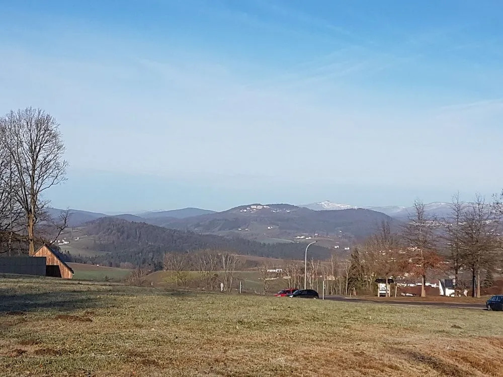 Foto - Michel Hotel Karoli Waldkirchen