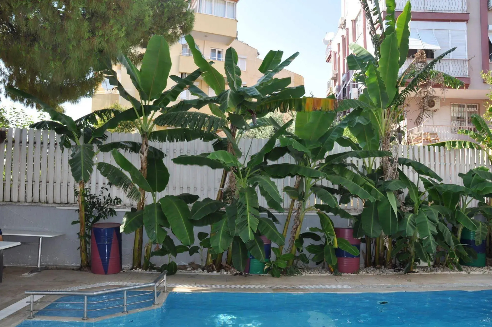 Foto - Hotel Lunay