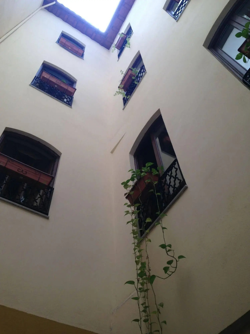 Foto - Hotel Plaza Nueva