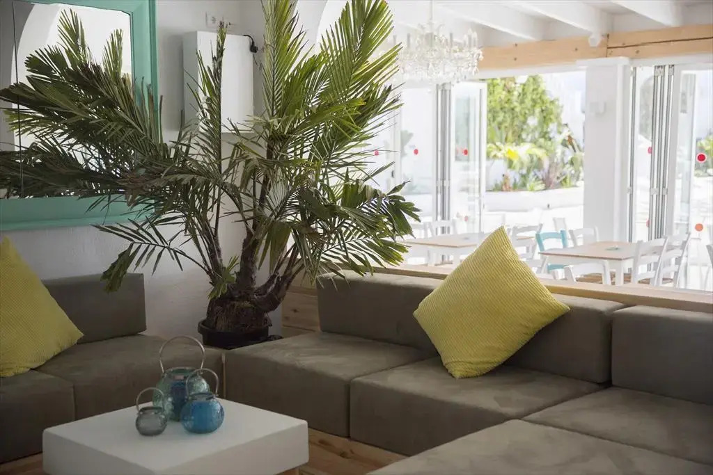 Photo - ENDLSS BEACH & DISCO HOTEL IBIZA Adults Only