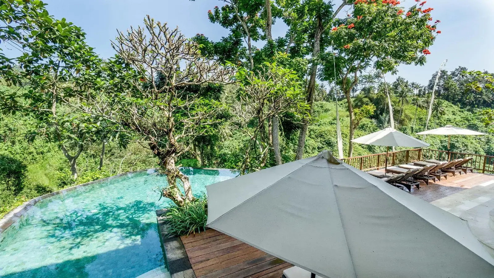 Foto - Natura Resort and Spa
