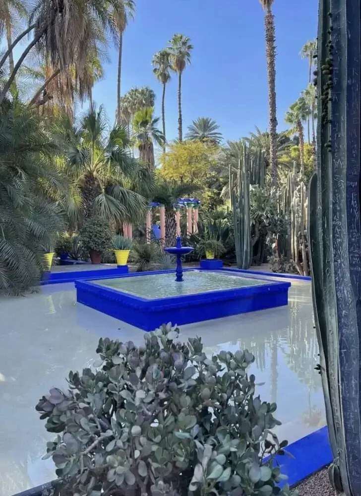Photo - Riad Zouhour
