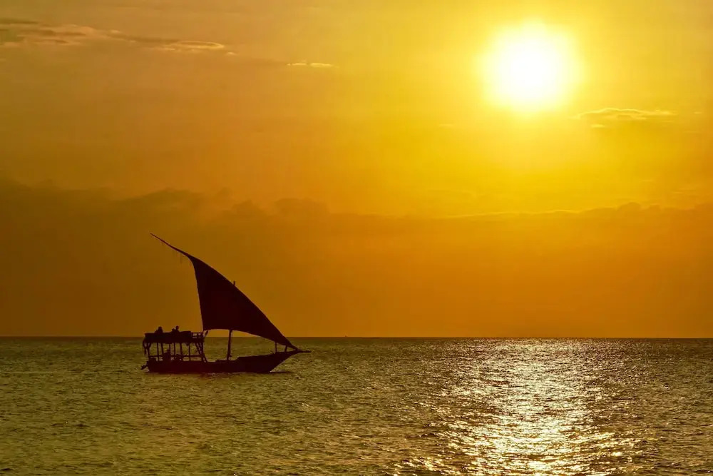 Foto - Mangrove Lodge