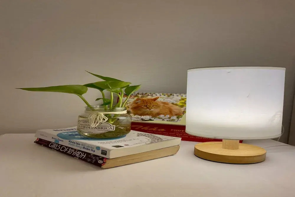 Foto - CROWNE MEOW BÙI VIỆN HOTEl 2