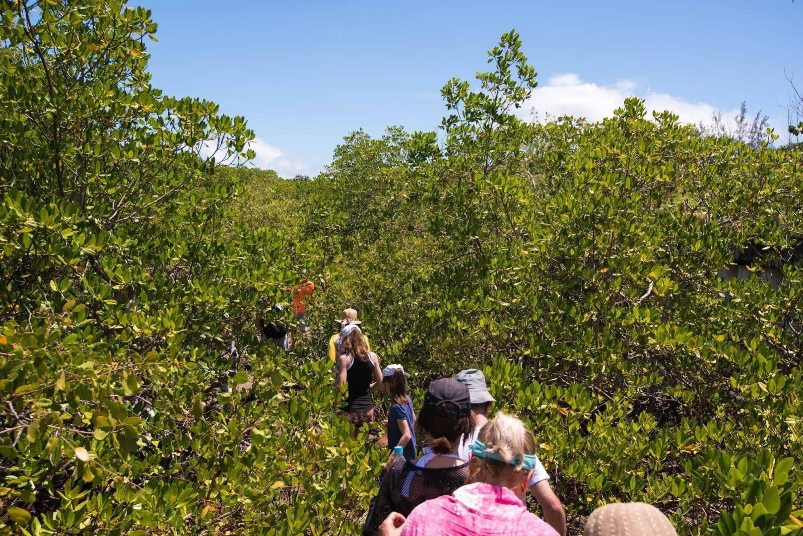 Foto - Vila Galé Cabo - All Inclusive